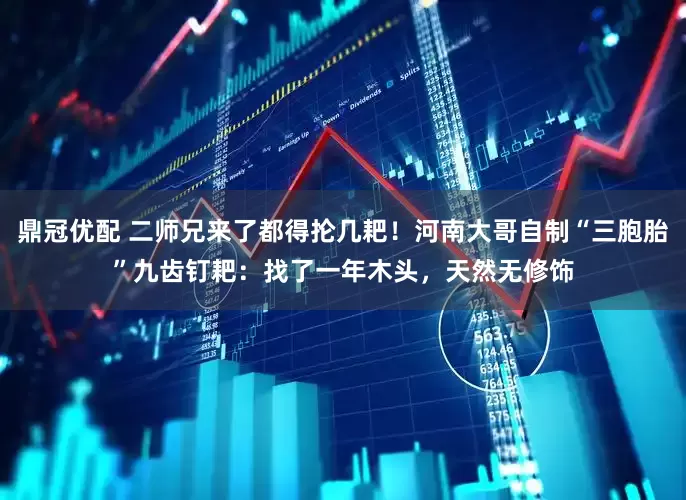 鼎冠优配 二师兄来了都得抡几耙！河南大哥自制“三胞胎”九齿钉耙：找了一年木头，天然无修饰